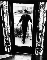 Paul seen through the stained glass doorway at 934 Pamela Lane.