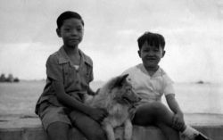 Two Brothers and a Chow on Dewey Blvd., 1948.