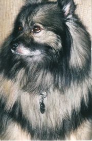 Imelda, early 1990s.