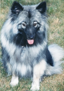 MyKee in the backyard, 1998.