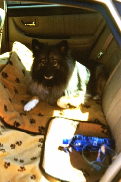 MyKee on a summer car trip, circa early 2000s.